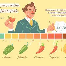 Spices are the something visible, spicy is where those things are used. Hot Chile Peppers On The Scoville Scale