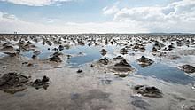 Das weltnaturerbe wattenmeer erleben 22. Schleswig Holstein Wadden Sea National Park Wikipedia