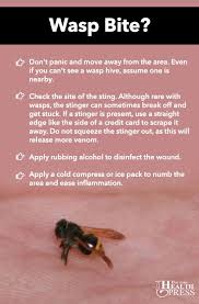 What To Do If A Yellow Jacket Stings You Yellow Jacket Sting Funny Health Quotes Yellow Jacket