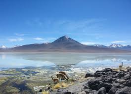 The following routes are the … Thisworldexists Crossing Borders To Bolivia S Salt Flats Part One