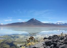 24/7 customer service and located in the south west region of bolivia, bordering chile it is the most beautiful and out of this world desert welcome to got salt bolivia, my name is paul guardia, founder and active guide in uyuni. Thisworldexists Crossing Borders To Bolivia S Salt Flats Part One