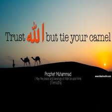 Pin On Hadith Sunnah Of The Prophet Muhammad Pbuh