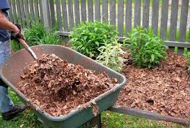 Check spelling or type a new query. Les Avantages Des Paillis Jardinier Paresseux