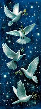 Pin By Sumbul Eldek On Resim Arsivim Poster Peace Dove Bird Art Peace Bird