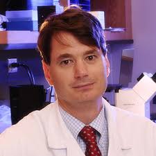 Endowed Professorships & Chairs