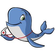 Is your child obsessed with pokémon? Water Safety For Kids Red Cross