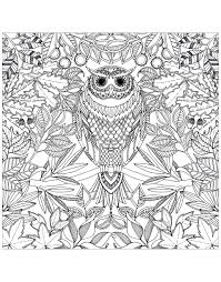 Owl with piercing look, to print and color, many plant elements in the background: Tree Coloring Pages For Adults