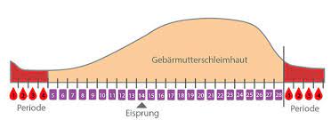 Hallo, wann seid ihr schwanger geworden, nachdem ihr die pille abgesetzt habt? Zyklus Nach Absetzen Der Pille