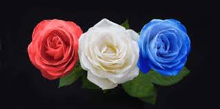 Artists know the meanings of flowers; Symbolic Meaning Of Blue Roses That Ll Leave You Stupefied Gardenerdy