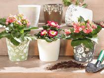 We did not find results for: Akcni Letak Www Lidl Cz