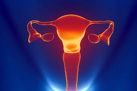 La maladie peut être asymptomatique. Endometriose Extreme Schmerzen Sind Nicht Die Regel Ev Klinikum Bethel