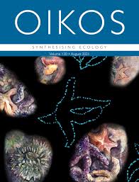 Image result for Sherbournia bignoniiflora