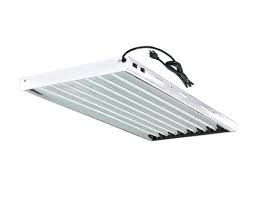 We did not find results for: T5 4 Ft 2 Lamp 6500k Bulbs