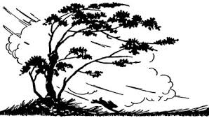 Image result for images of wind blowing