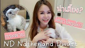 Maybe you would like to learn more about one of these? à¸à¸£à¸°à¸• à¸²à¸¢ Nd à¹€à¸¥ à¸¢à¸‡à¸¢à¸²à¸à¸¡ à¸¢ à¹‚à¸•à¸¡à¸²à¸• à¸§à¹ƒà¸«à¸ à¹à¸„ à¹„à¸«à¸™ à¸™ à¸ª à¸¢à¸¢ à¸‡à¹„à¸‡à¹€à¸­ à¸¢ Youtube