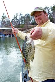 Both species in this genus are popular game fish. Natural State Style Crappie Fishing