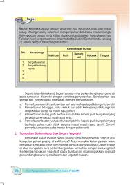 Selain bentuknya yang menarik dengan warna kuning terang sehingga mudah dikenali, bunga ini juga dikenal sebagai salah satu penghasil makanan ringan, yaitu kuaci. Cara Berkembang Biak Bunga Matahari Belajar Agribisnis