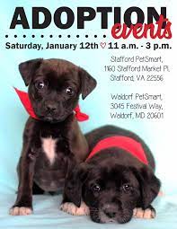 The new best buddy pet center is open! Adoption Events In Maryland Last Chance Animal Rescue Facebook