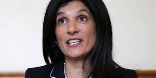 Patagonia logo 'disappears' from Maine Democratic Senate candidate's  jacket: Report