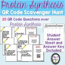 This Activity Is A Part Of My Qr Code Scavenger Hunt Bundle Need A Fun Activity To Assess Scavenger Hunt Protein Synthesis Transcription And Translation
