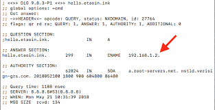 What Is A Wildcard Dns Record Porkbun Knowledge Base
