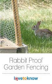 Rabbit Proof Garden Fencing Lovetoknow Garden Fencing Easy Fence Rabbit Fence