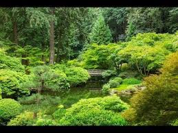 Relaxation Visualization Zen Garden Talk Down Sleep Stress Relief Japanese Garden Landscape Canvas Visualization Meditation