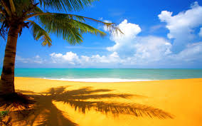 Feel free to send us your own wallpaper and we will consider adding it to appropriate category. Beach Wallpapers Hd