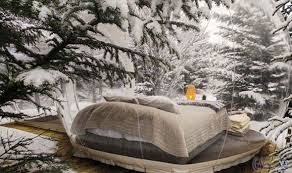 غرف شفافة للراغبين في النوم تحت النجوم في أيسلندا Iceland Hotels Northern Lights Hotel Northern Lights Iceland