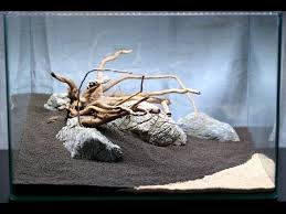 Simple Aquascape Step By Step Part 1 Hardscape Youtube Aquascape Design Aquarium Design Aquascape