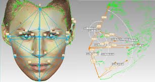 Illustration of linear and angular distances calculated from manually...