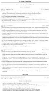Free internal auditor resume template with simple and modern look for help you boost your personal branding. Director Internal Audit Resume Sample Mintresume