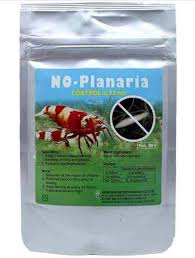 Pond snails and water plants tankgardening at 58 north. How To Remove Snails From A Shrimp Tank Shrimp And Snail Breeder