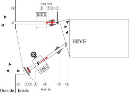 Bee nests generate in the following biomes with different chances: Honey Bees Increase Their Foraging Performance And Frequency Of Pollen Trips Through Experience Scientific Reports