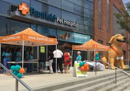 We have been a proud member of the american animal hospital association since 2010. Banfield Pet Hospital Near Me Pet S Gallery