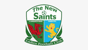 We would like to show you a description here but the site won't allow us. The New Saints Ladies New Saints Fc Png Png Image Transparent Png Free Download On Seekpng