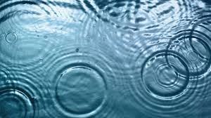 How to buy ripple (xrp): What Is Ripple What Is Xrp Forbes Advisor