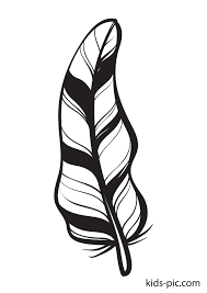 Fuzzy's advanced adult coloring pages include simple and complex flower, animal, and pattern coloring book designs for your doodling pleasure oh, how i love to color! Bird Feather Coloring Pages Kids Pic Com