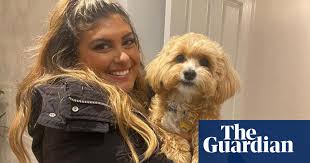 Meld u aan om dit thema te waarderen. Beware Of Social Media Warning For Uk Dog Owners As Thefts Rise Animals The Guardian