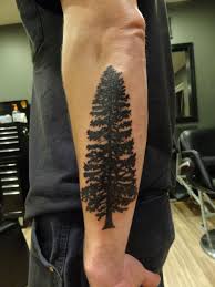 They're a part of nature that has cedar tree tattoo design: Geometric Lebanese Cedar Tree Tattoo Novocom Top