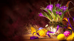 Jeden tag tausende neuer bilder garantiert kostenlos hochwertige videos und bilder von pexels Desktop Wallpapers Easter Eggs Flower Crocuses Holidays 1920x1080