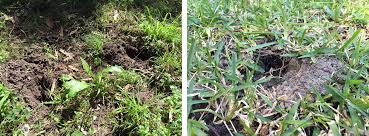 We did not find results for: Learn About Ticks Tick Safe And The Mozzie Team