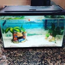 Ahh The Tranquility Of A Fish Tank And The Sound Of Running Water Not Only Is It Soothing But Also Great F Fish Tank Decorating Blogs Running Water
