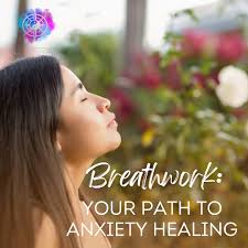 Michele Drake Holistic Habit Coach (@masterhabits) • Fotos e vídeos do  Instagram