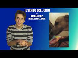 Sognare cane che morde indica la parte animale dell'essere umano e l'istinto in tutte le sue forme, una parte addomesticata o parzialmente integrata. Bimbominkia Montata Dal Cane Il Senso Dell Odio Youtube