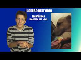 Puoi anche provare a fare una pausa e riprovare in seguito, dopo aver concesso al tuo cane un po' di tempo da solo. Bimbominkia Montata Dal Cane Il Senso Dell Odio Youtube