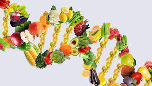 Ecco la dieta schema settimanale che elimina i chili di troppo e dà energia leggi il menù dei 7 giorni. I Cibi Che Dialogano Con Il Dna Per Farti Dimagrire Ecco Quali Sono Dilei