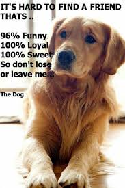 Pin By Cheri Riddell On Dogs Dogs Dog Quotes Pets