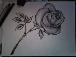 See more ideas about drawings, easy flower drawings, easy drawings. Love Rose Flower Pencil Drawing Novocom Top