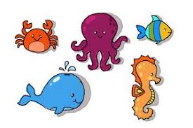 We did not find results for: How To Draw Sea Animals Drawingnow